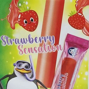 Polar Ice Cream - Strawberry Sensation